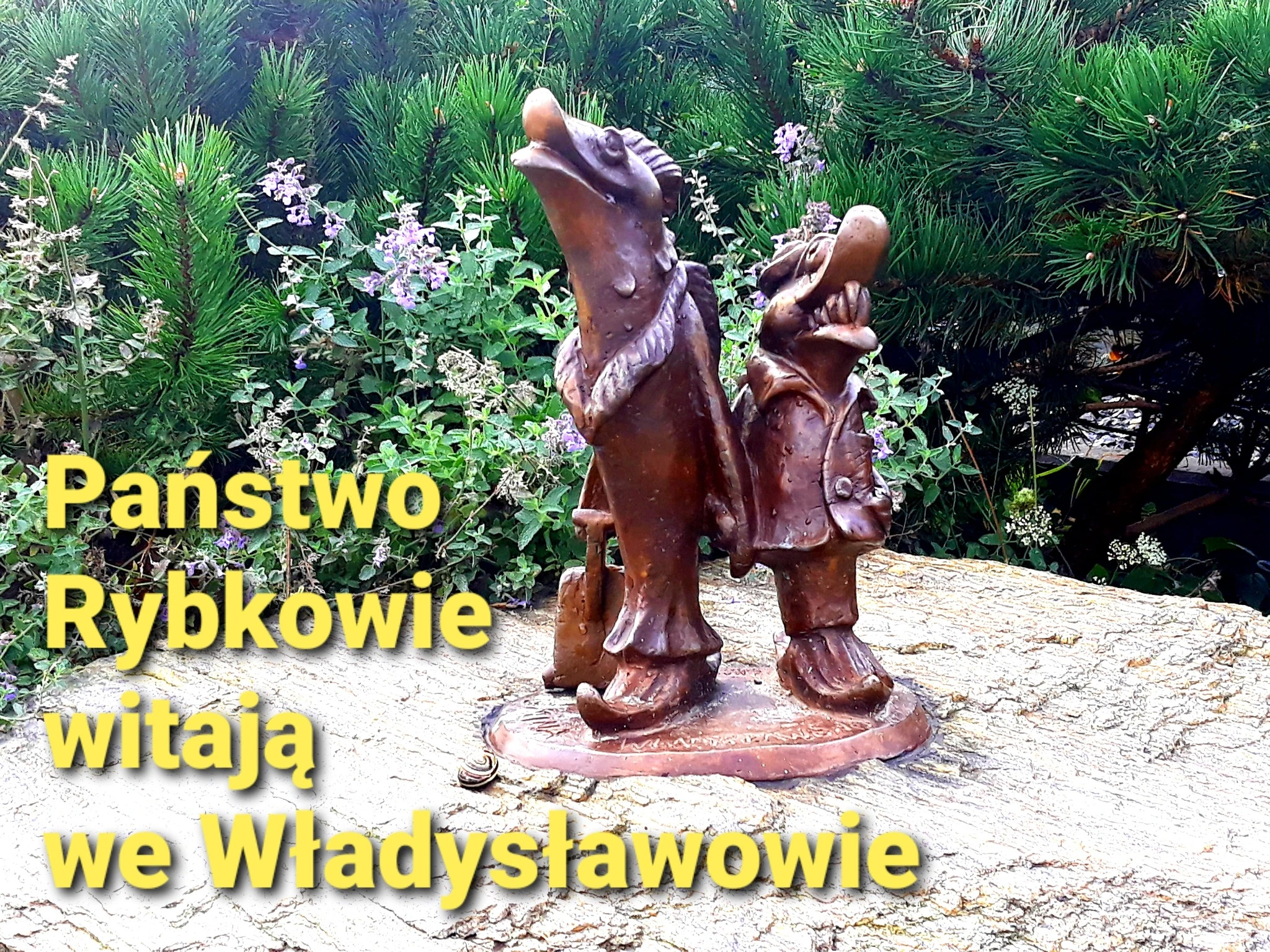 Państwo Rybkowie witają we Władysławowie